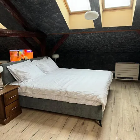 Ana's Loft Cluj,dorobantilor - Parking Free